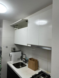 Skies Miltonia (D27), Condominium #484063041